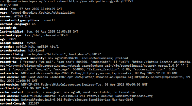 curl command line interface screenshot showing API testing example