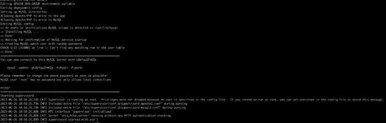 Docker container terminal showing docker commands for local development