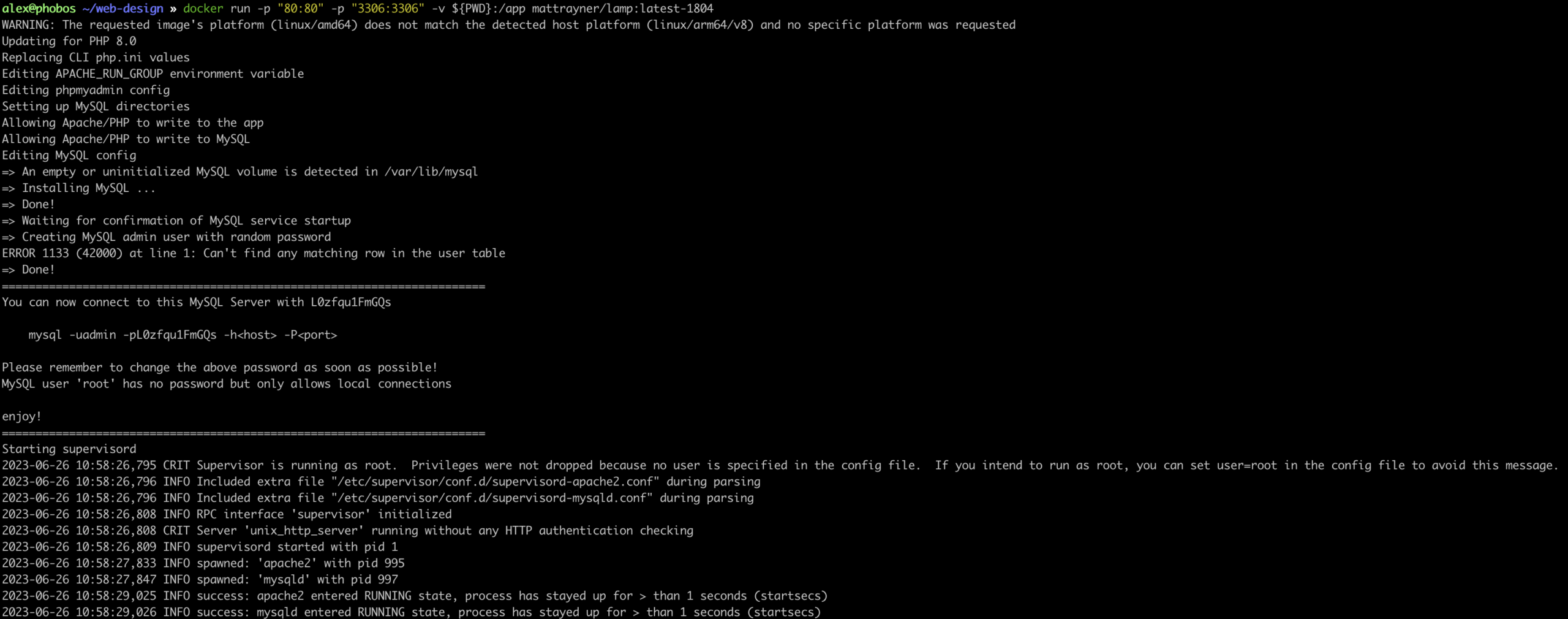 Docker container terminal showing commands for local development setup