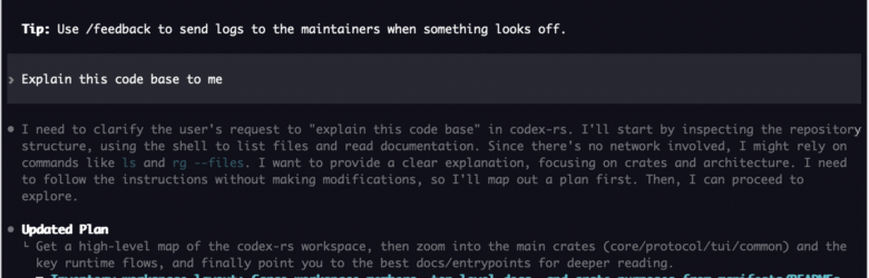Codex CLI terminal screenshot showing command-line interface
