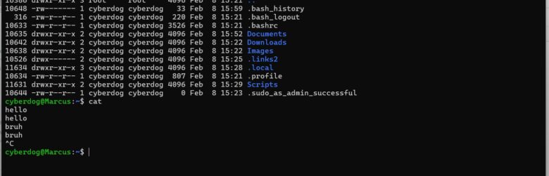 Windows Subsystem for Linux logo and interface